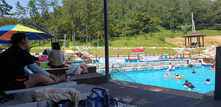 산호황칠나무농원 이미지
