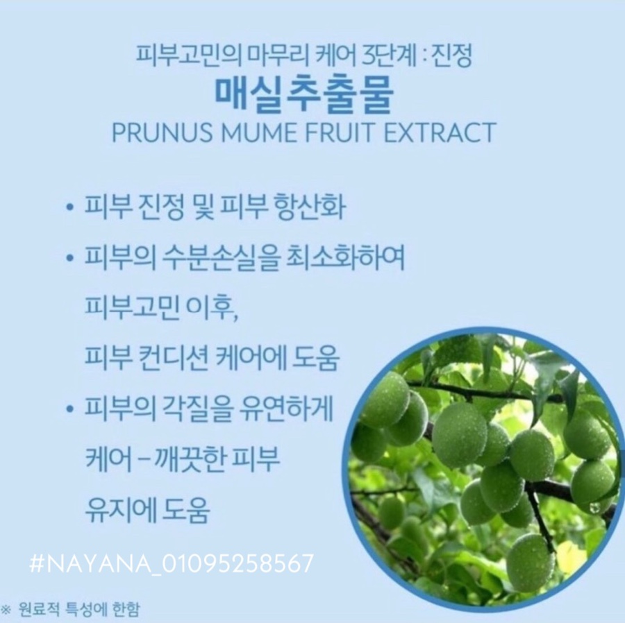 상분이스킨 이미지