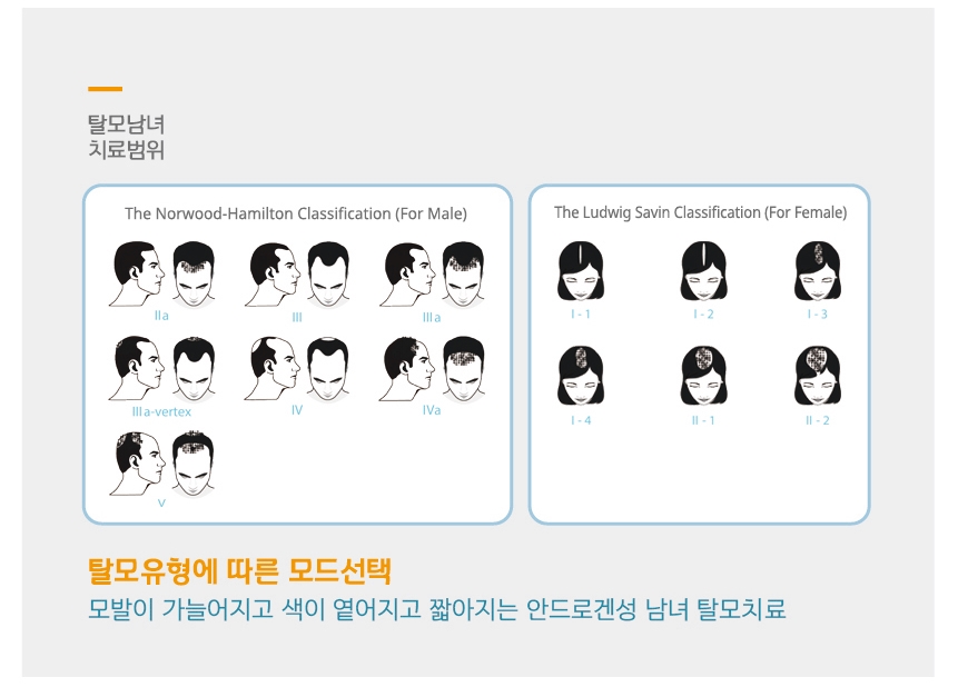 와이앤제이헤어 이미지