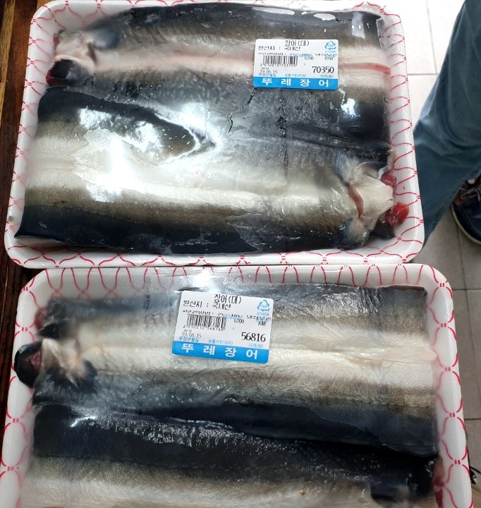 뚜레장어 이미지