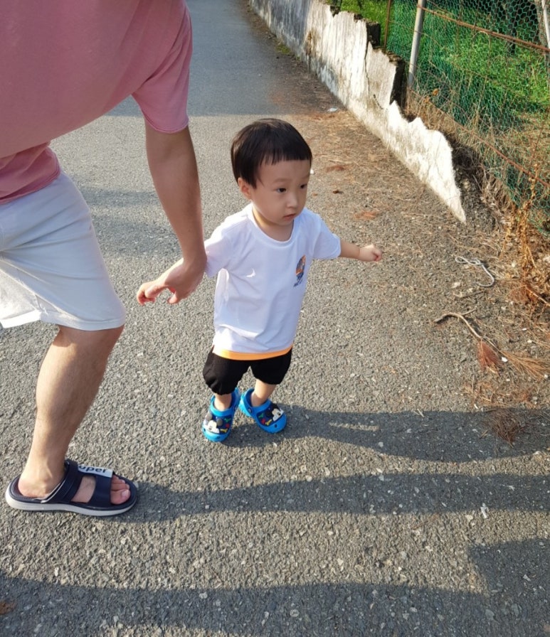 달빛든솔 이미지