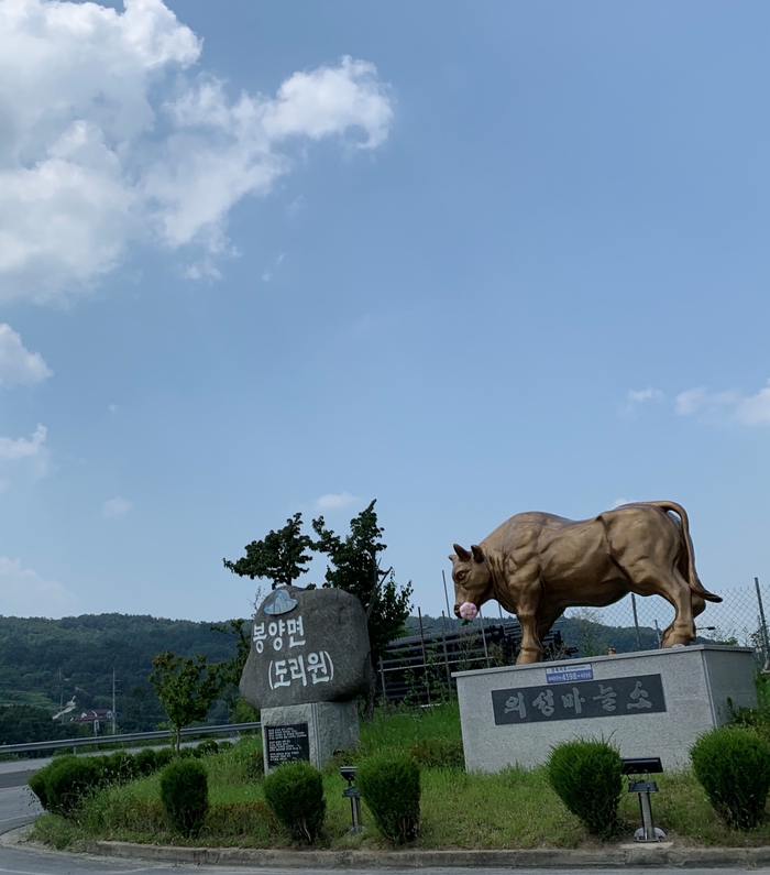 의성마늘 김동준 한우 이미지