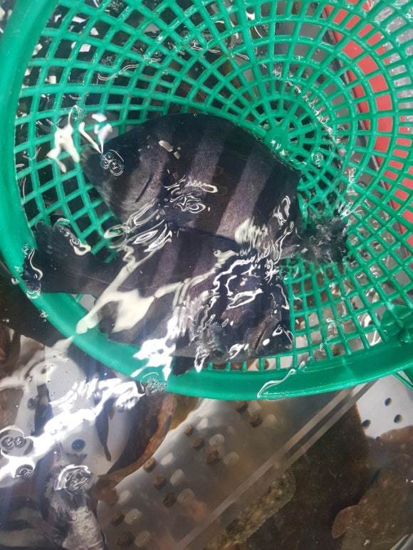광신수산 이미지
