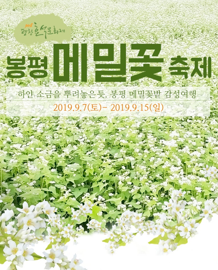 하늘여행사 이미지