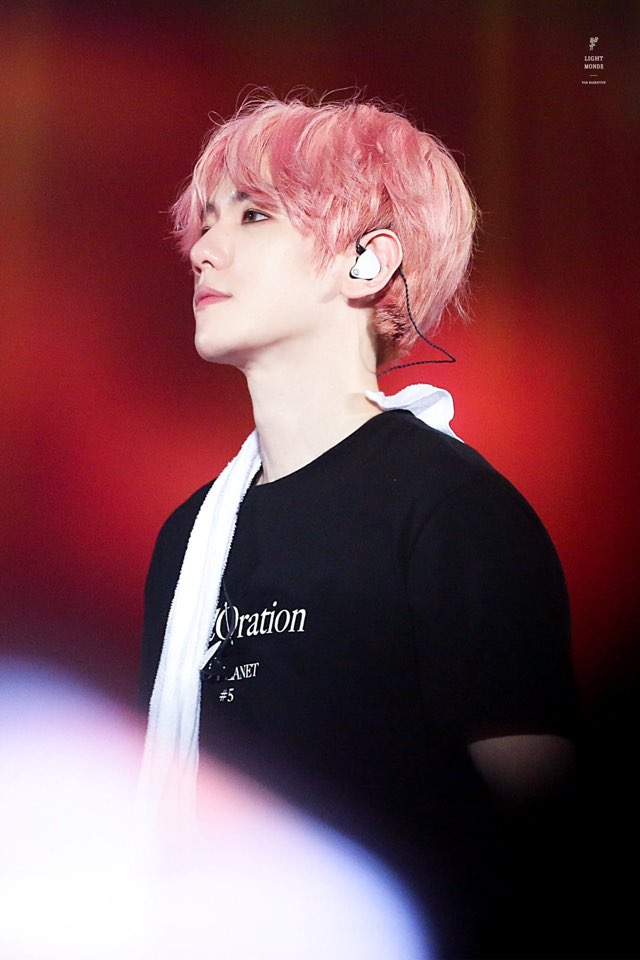 카몽 이미지
