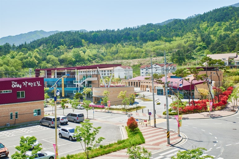 자연드림 시네마 이미지