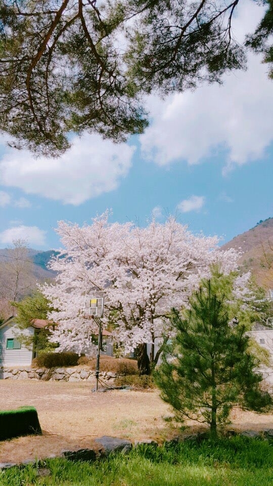 상원펜션 이미지