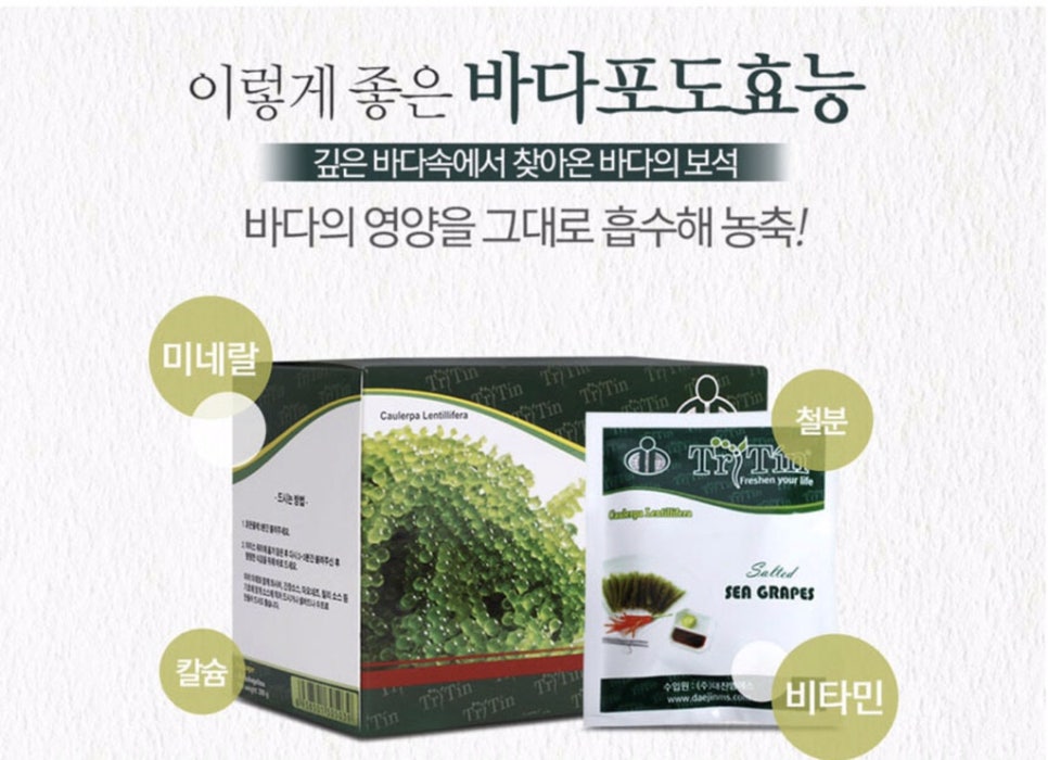 (주) 대진엠에스 이미지