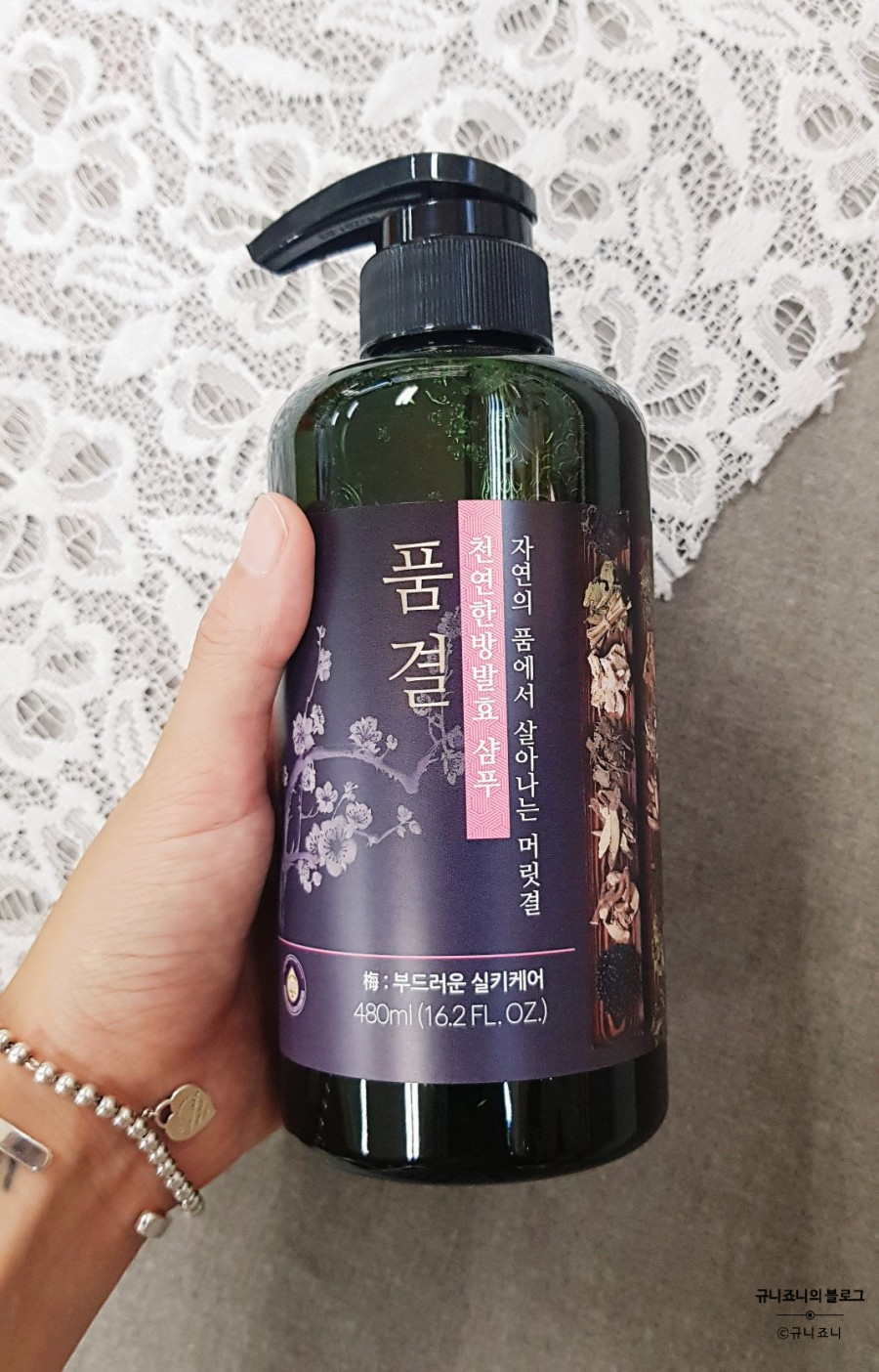 닛시레 이미지