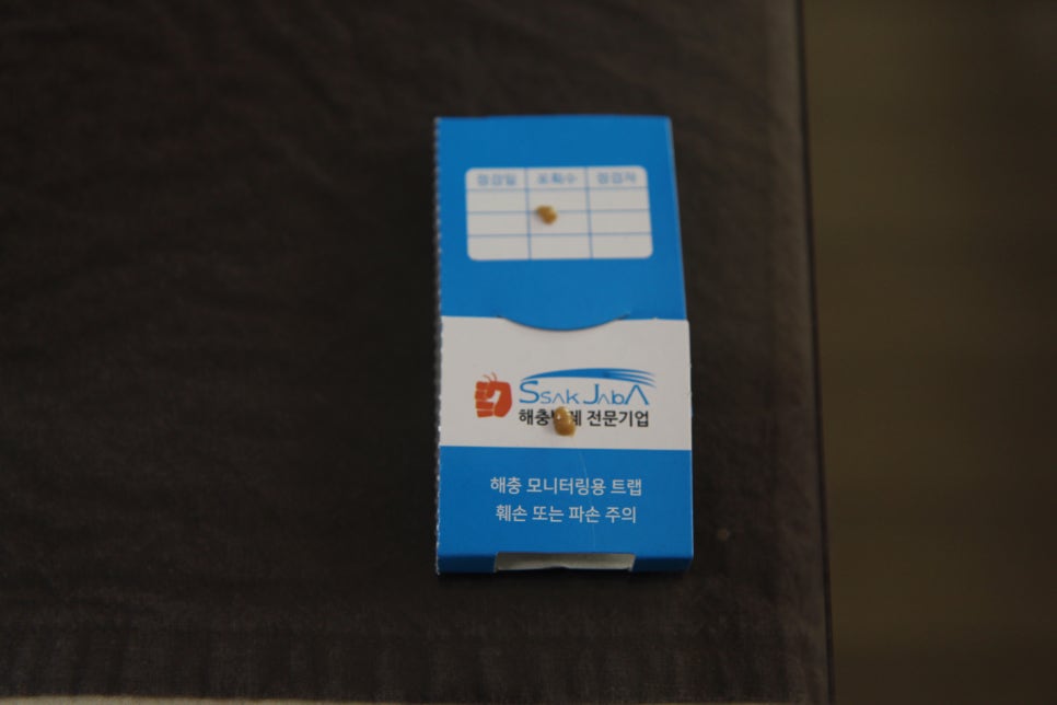 싹잡아방역 이미지