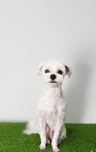 파리바게뜨수원탑동 이미지
