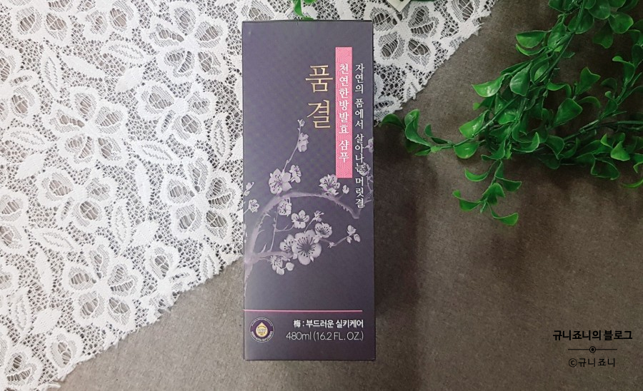 닛시레 이미지