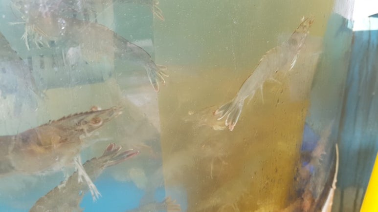 서인수산 이미지