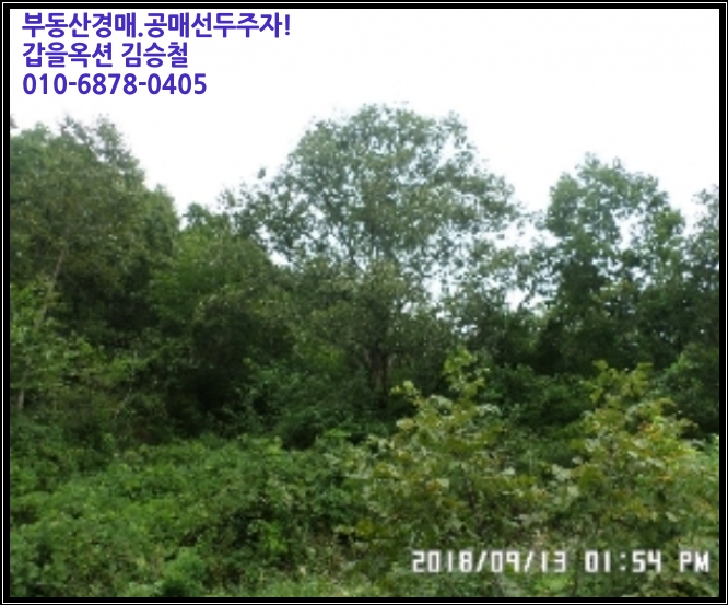 진안전컨설팅 이미지