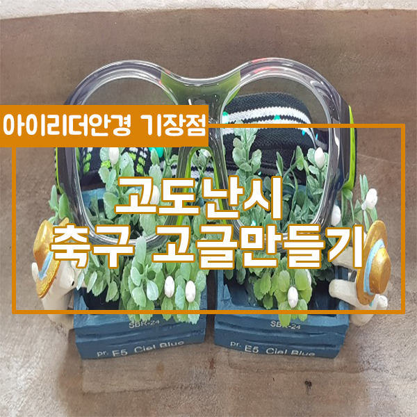 벤틱 이미지