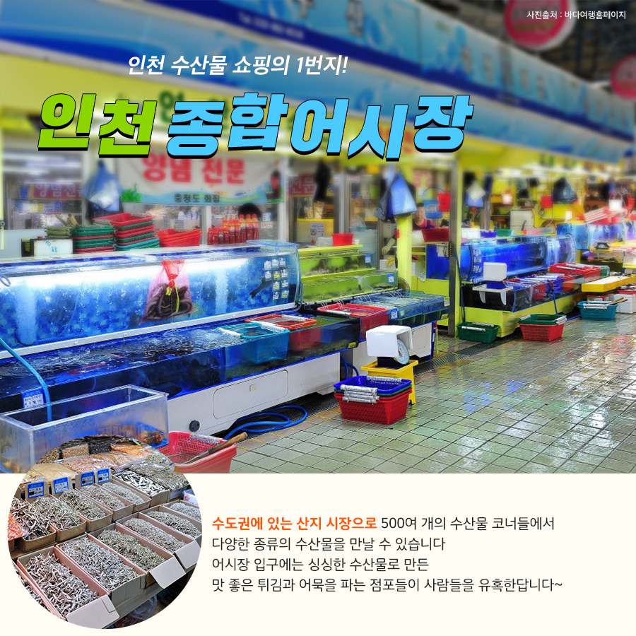 목포종합수산물 이미지
