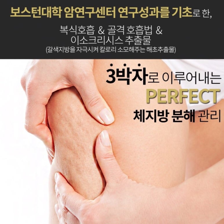 아웃플랜 이미지