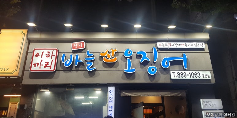 신가바늘산오징어 이미지