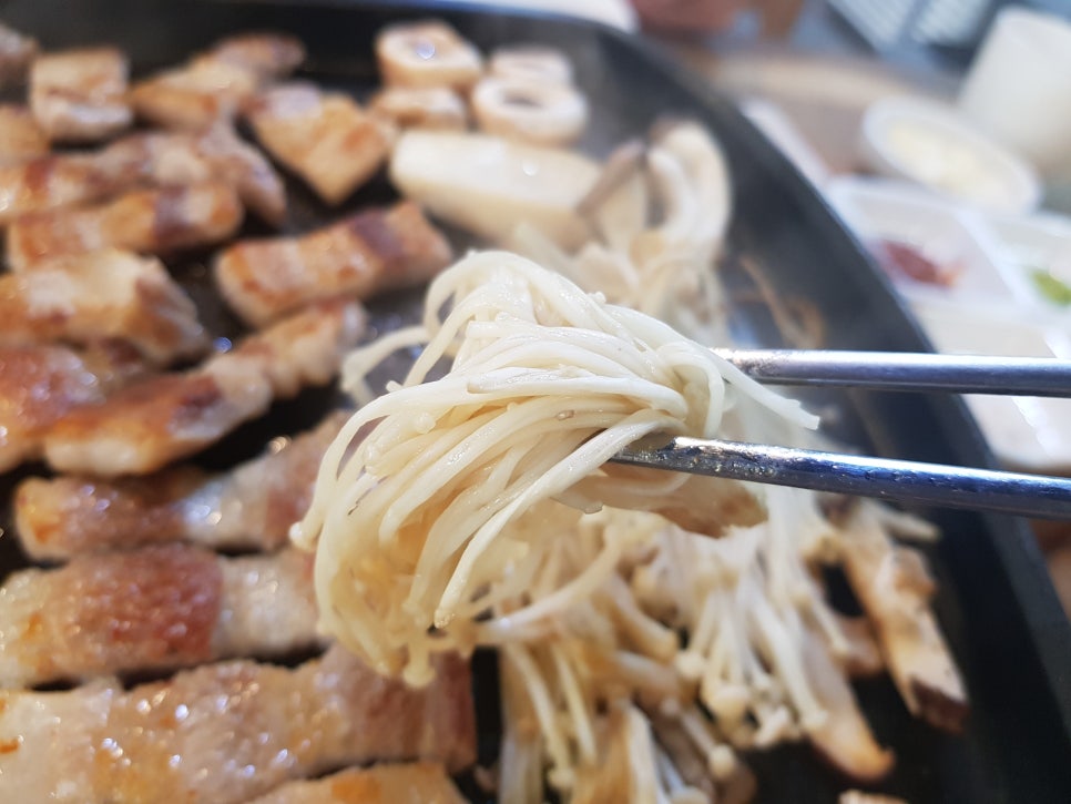 꿀통돼지 이미지