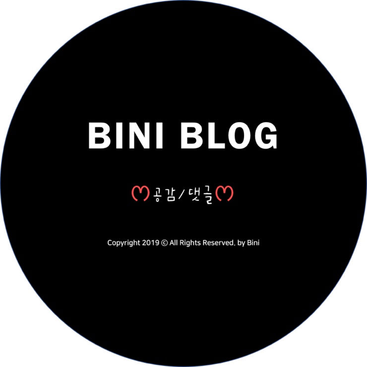 준삐삐 이미지