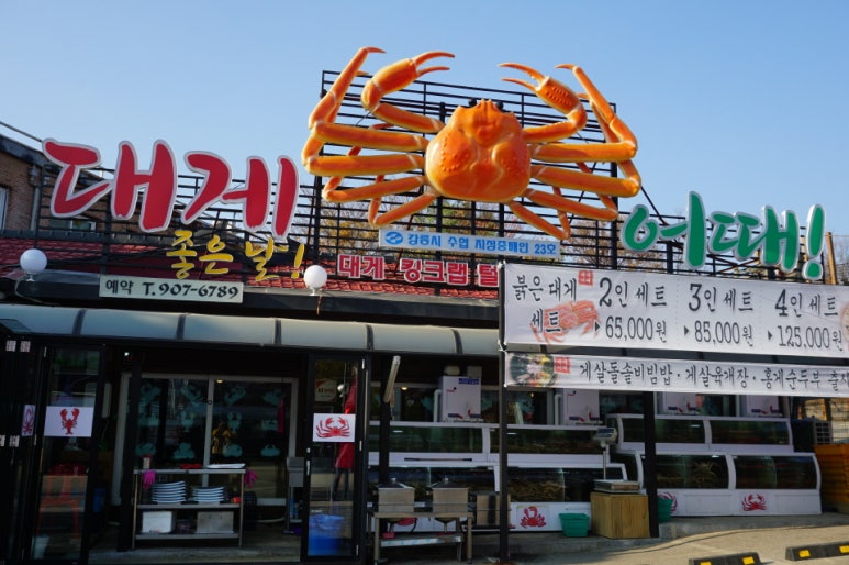 대게어때 이미지