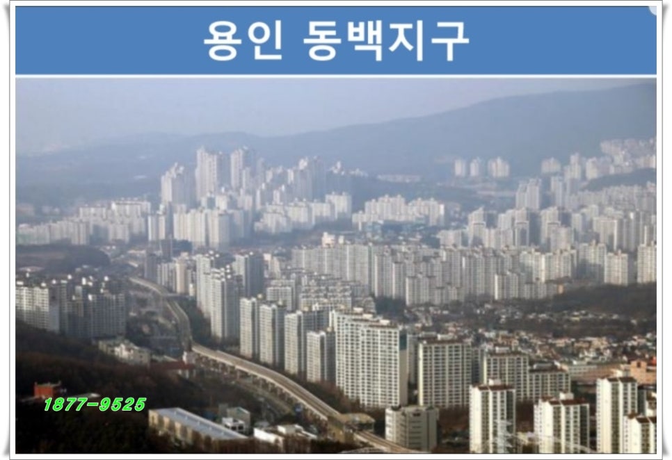 동백유통 이미지