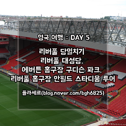 플라세르 투어 이미지