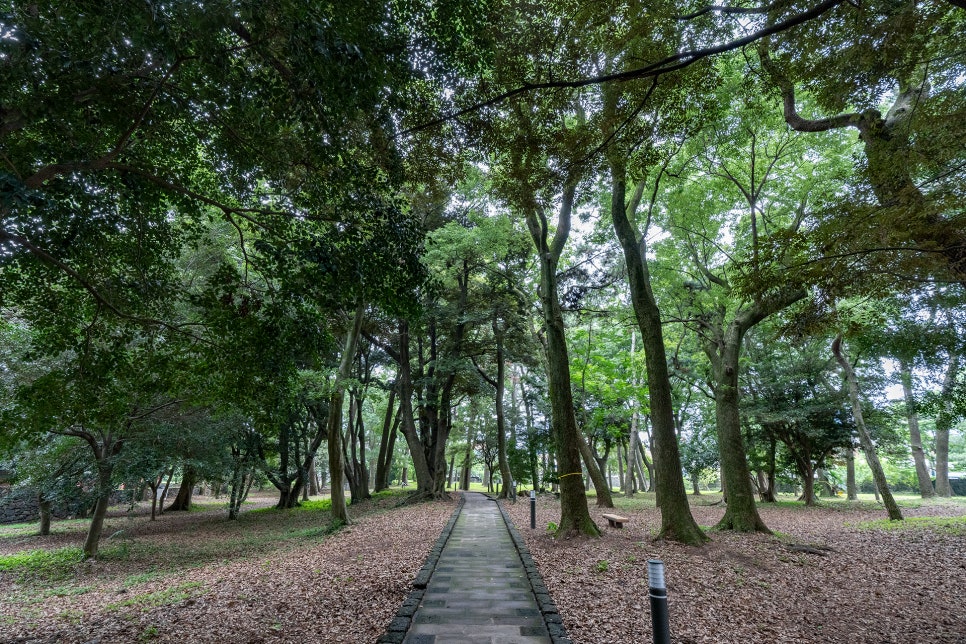 삼성혈안 숲길 풍경