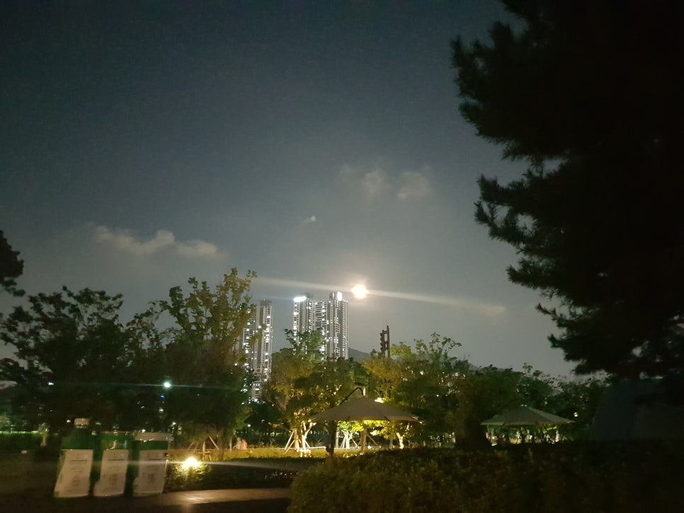 이쁜달 이미지