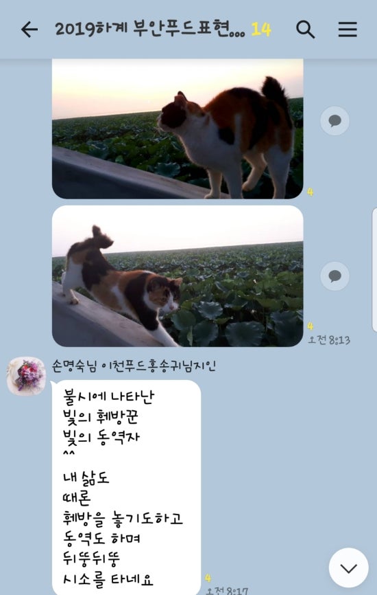 하늘푸드 이미지
