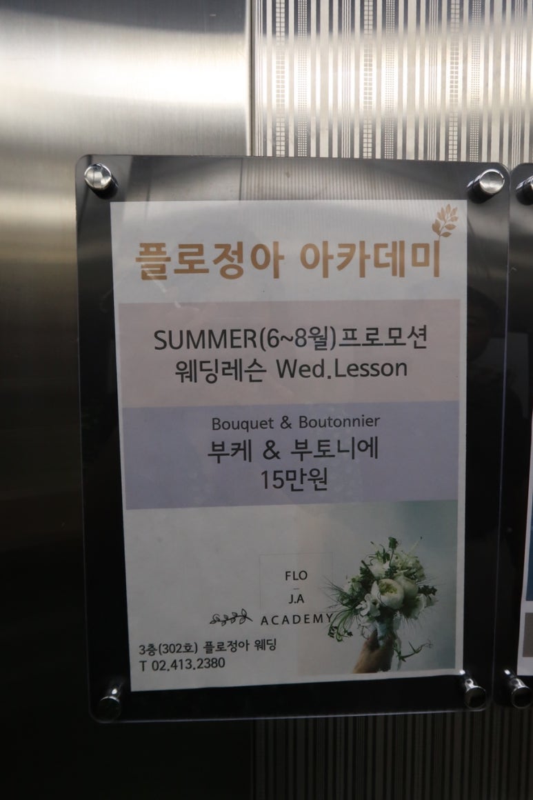 플로정아 이미지