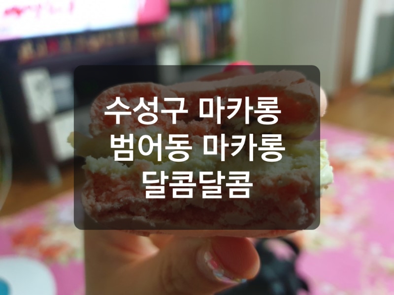 달곰마카롱 이미지