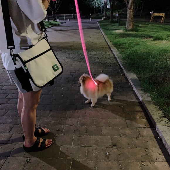 디자인스트롤 이미지