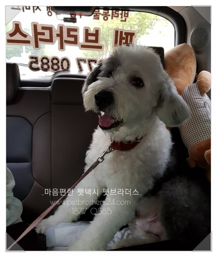 세븐일레븐거제중곡점 이미지