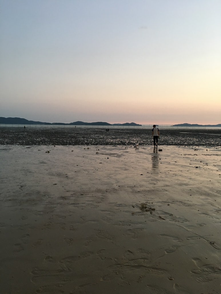 어나더153애견펜션 이미지