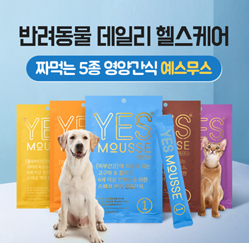 드로니 이미지