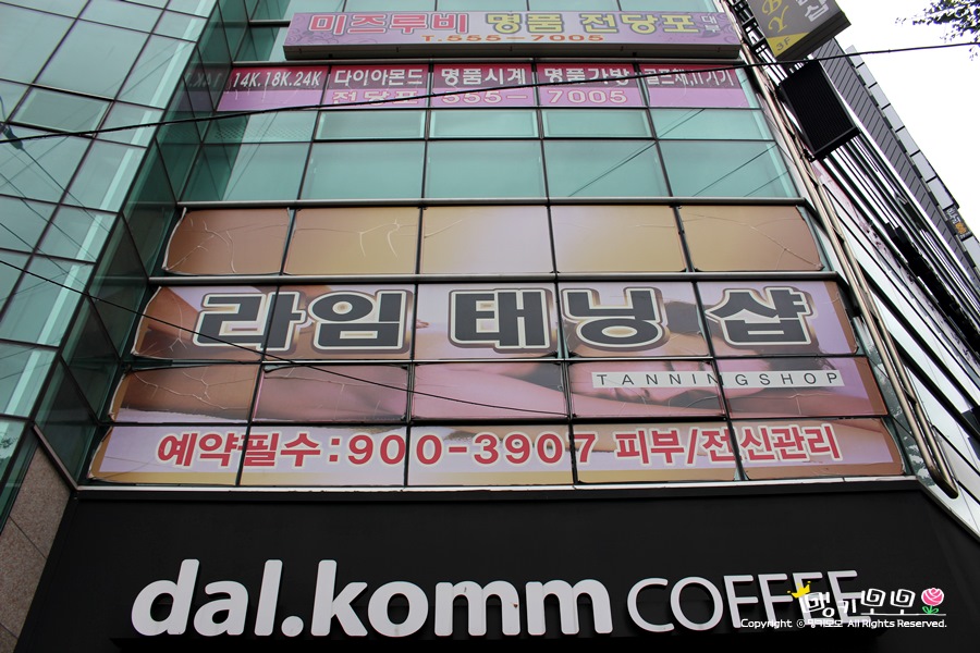 라임에스테틱 이미지