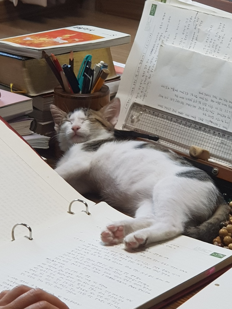 (주)프레쉬 이미지