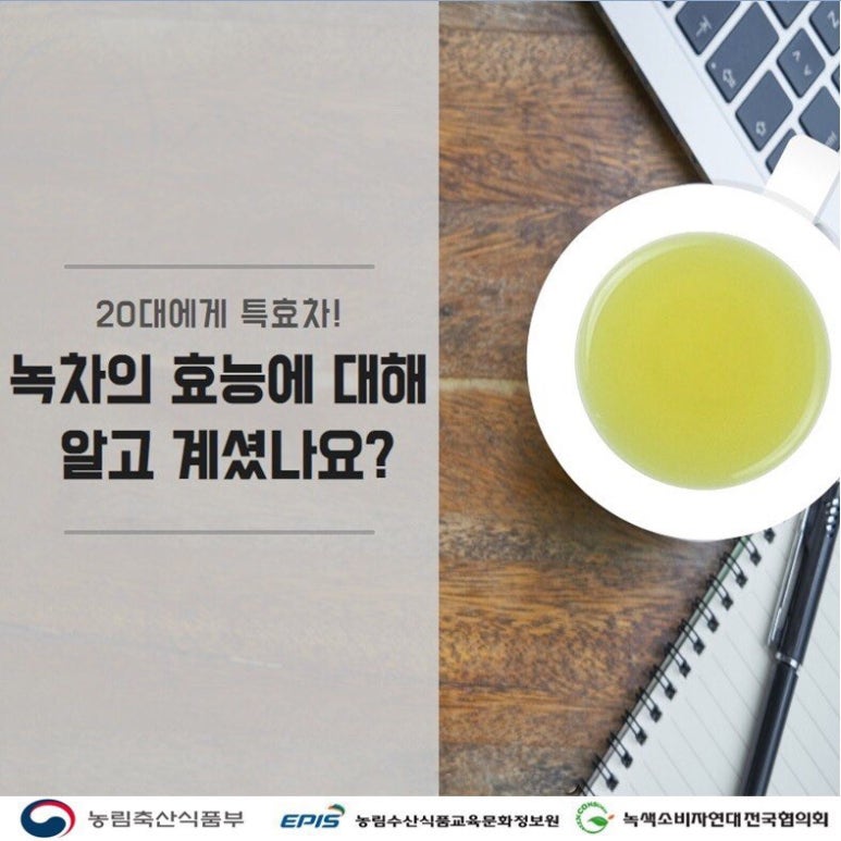 명원세계차박람회 이미지