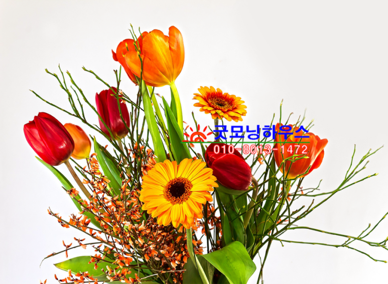 배당소 이미지