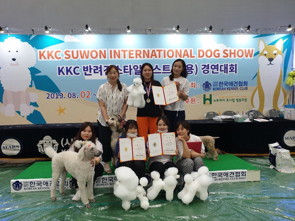 김지순애견미용학원 이미지