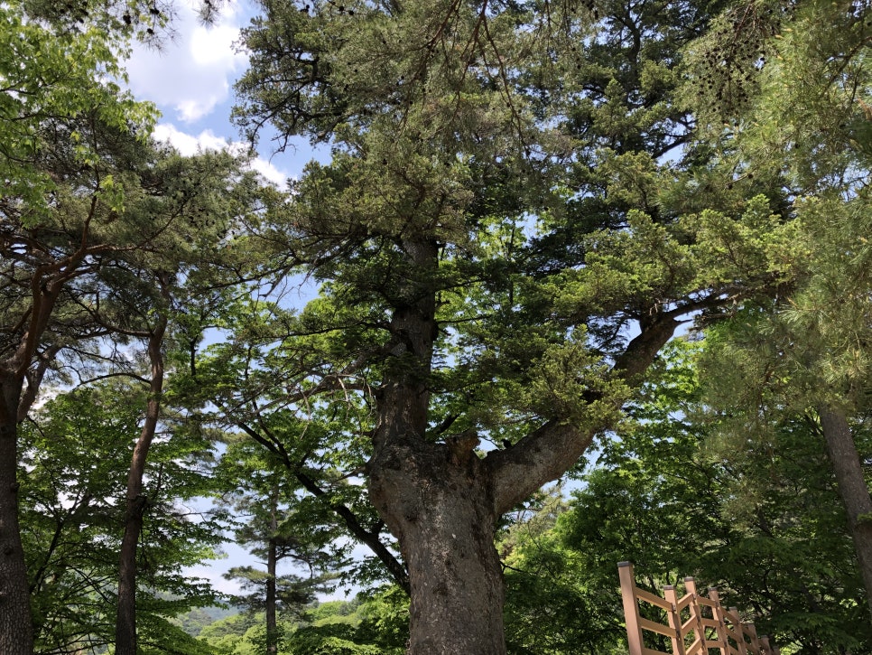 가야산기 이미지