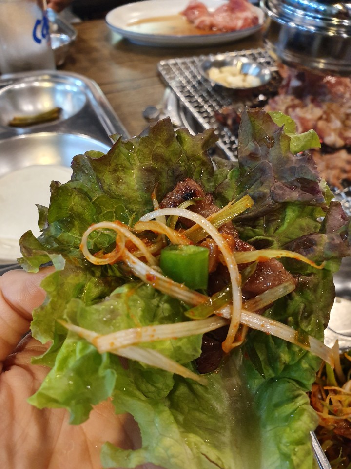 돼지야&닭 이미지