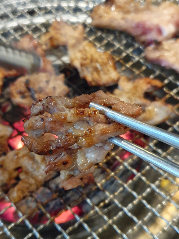돼지야&닭 이미지