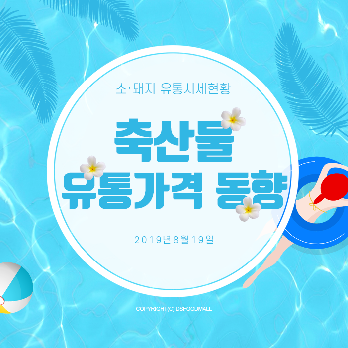 디에스유통 이미지