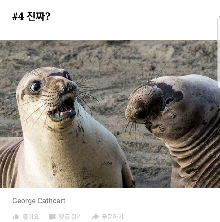 과천칼국수 이미지