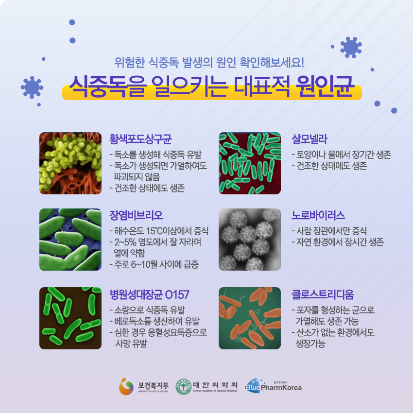 여름철 식중독 음식섭취, 생활습관 주의필요! 종류 및 3대 예방법 원칙과 응급처치방법! 살모넬라,노로바이러스,비브리오균 [병의원 ...