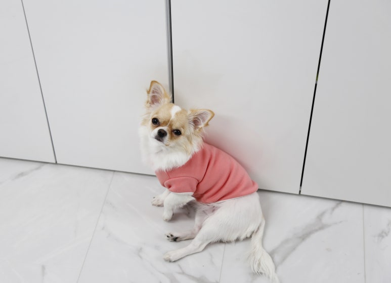 유일오에이 이미지