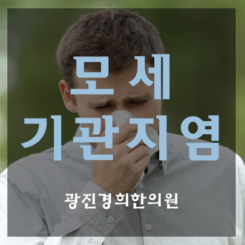 경희모세한의원 이미지