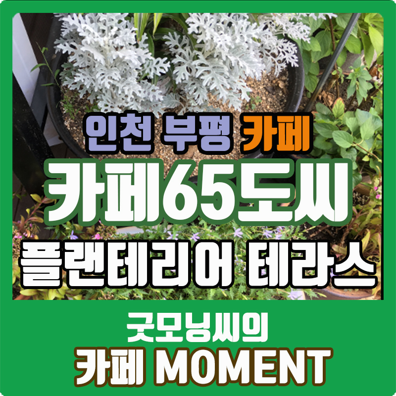 카페65도씨 이미지